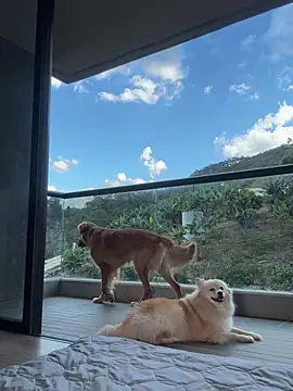 Helenbronwx online show from 01.17.25