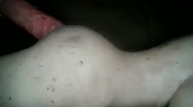 Snapshot of xxxlecram chatting on 03.14.25 xxxlecram online show from 03.14.25