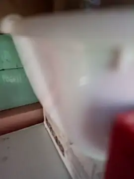 Snapshot of Rayito6969@xh chatting on 02.05.26 Rayito6969xh online show from 02.05.26