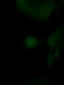 Vuyokaki online show from 11.30.25