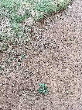 Vuyokaki online show from 02.03.26