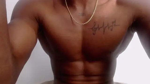 drake brwon 23 online show from 04.20.26