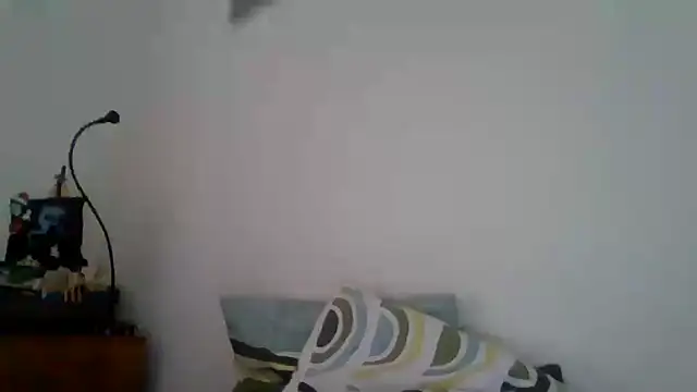 Snapshot of joaodias_97 chatting on 02.17.25 joaodias 97 online show from 02.17.25