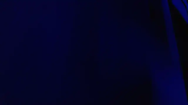 Snapshot of DULCE_ZOE chatting on 01.19.26 DULCE ZOE online show from 01.19.26