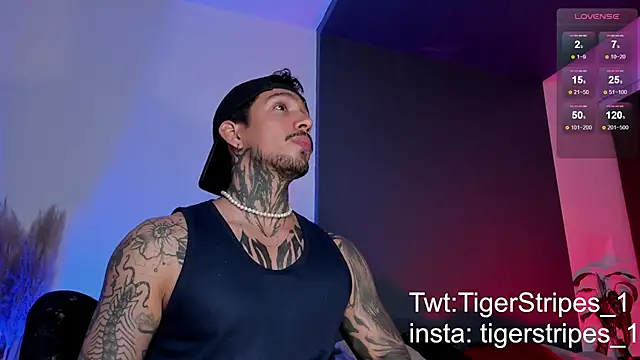 TigerStripes1  online show from 03.15.25