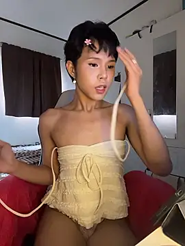 Snapshot of Plaxtique chatting on 01.06.26 Plaxtique online show from 01.06.26