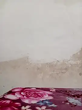 Snapshot of 09punjabi chatting on 12.19.24 09punjabi online show from 12.19.24